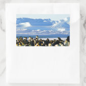 Sticker Rectangulaire Pingouins empereurs (Sac)