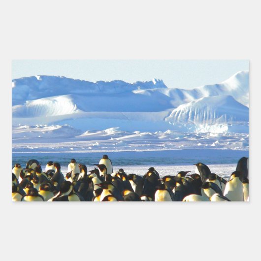 Sticker Rectangulaire Pingouins empereurs (Devant)