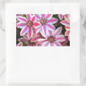 Sticker Rectangulaire Pink and white striped clematis flowers (Sac)