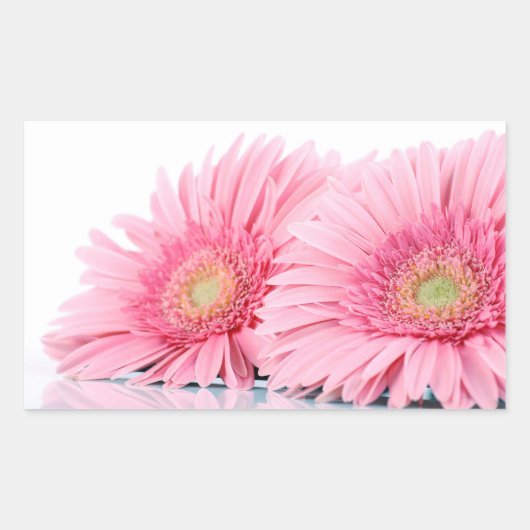 Sticker Rectangulaire Pink Gerbera Daisies Elegant Photo (Devant)