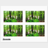 Sticker Rectangulaire Pink Lady Slipper sauvage orchidée (Feuille)
