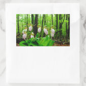 Sticker Rectangulaire Pink Lady Slipper sauvage orchidée (Sac)