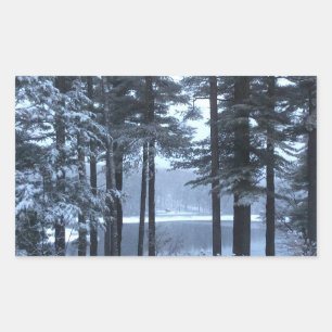 Sticker Rectangulaire Pins blancs en lumière bleue —