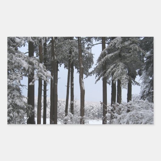 Sticker Rectangulaire Pins neigeux en lumière bleue — (Devant)