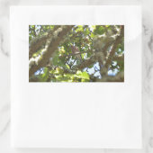 Sticker Rectangulaire Pinson des arbres (Sac)