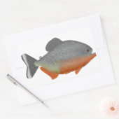 Sticker Rectangulaire Piranha (Enveloppe)