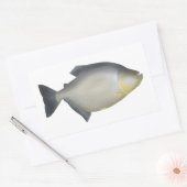 Sticker Rectangulaire Piranha tacheté (Enveloppe)