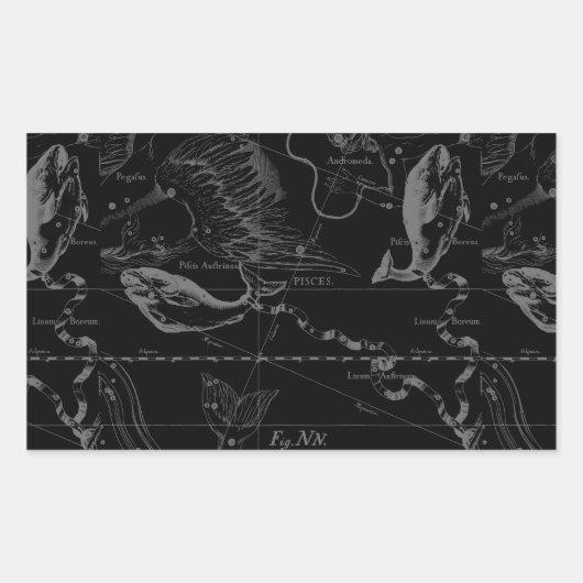 Sticker Rectangulaire Pisces Constellation Hevelius 1690 sur Black (Devant)