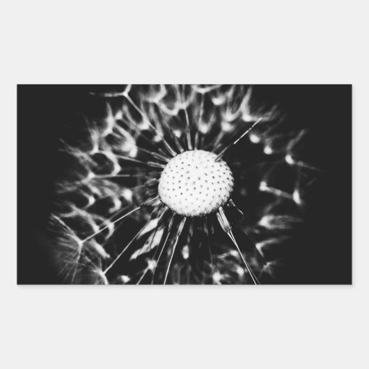 Sticker Rectangulaire pissenlit blacq (Devant)