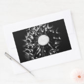 Sticker Rectangulaire pissenlit blacq (Enveloppe)