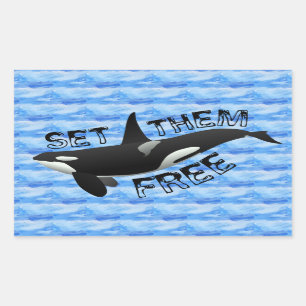 Sticker Rectangulaire "Placez-les librement" orque