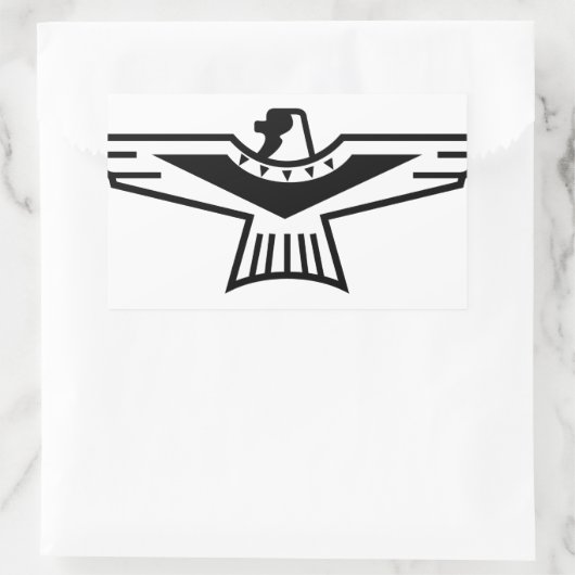 Sticker Rectangulaire Plan Thunderbird (Sac)