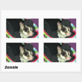 Sticker Rectangulaire Planeur à sucre portant un Casquette (Feuille)