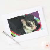 Sticker Rectangulaire Planeur à sucre portant un Casquette (Enveloppe)