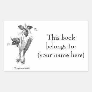 Sticker Rectangulaire Plaque vintage de gravure de fleur de tigre