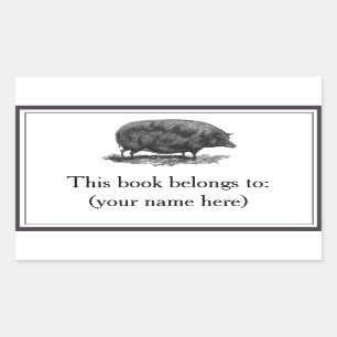 Sticker Rectangulaire Plaque vintage de gravure de porc