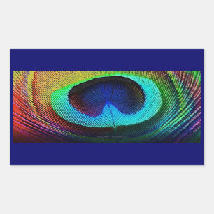 Sticker Rectangulaire Plume de paon vibrant