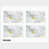 Sticker Rectangulaire Plumeria Lei Flower (Feuille)