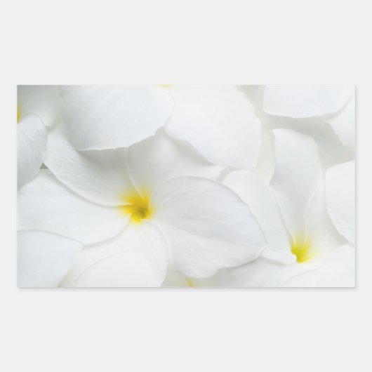 Sticker Rectangulaire Plumeria Lei Flower (Devant)