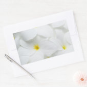 Sticker Rectangulaire Plumeria Lei Flower (Enveloppe)