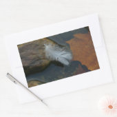 Sticker Rectangulaire Plumes blanches (Enveloppe)