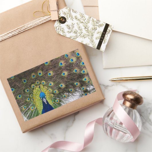 Sticker Rectangulaire Plumes de paon vibrantes (Cadeaux)