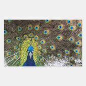 Sticker Rectangulaire Plumes de paon vibrantes (Devant)
