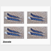 Sticker Rectangulaire Plumes d'oiseau Blue Jay (Feuille)