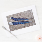 Sticker Rectangulaire Plumes d'oiseau Blue Jay (Enveloppe)