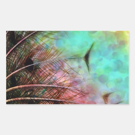Sticker Rectangulaire Plumes Pastel Peacock (Devant)