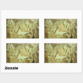 Sticker Rectangulaire Plywood de carte à puce OSB (Feuille)