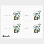 Sticker Rectangulaire Poche vintage (Feuille)