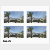 Sticker Rectangulaire Point I d'Olmsted au parc national Yosemite (Feuille)