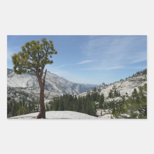 Sticker Rectangulaire Point I d'Olmsted au parc national Yosemite (Devant)