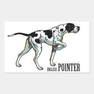 Sticker Rectangulaire pointeur anglais