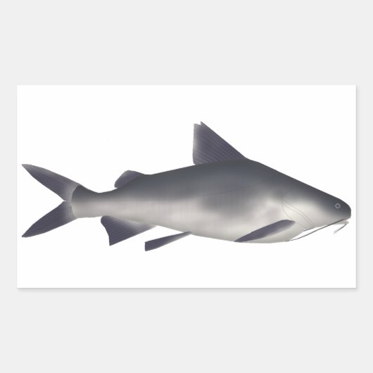 Sticker Rectangulaire Poisson de petite taille (Devant)