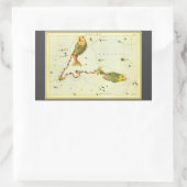 Sticker Rectangulaire Poisson des Poissons, Miroir d'Urania de constella (Sac)