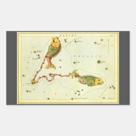 Sticker Rectangulaire Poisson des Poissons, Miroir d'Urania de constella (Devant)