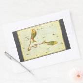 Sticker Rectangulaire Poisson des Poissons, Miroir d'Urania de constella (Enveloppe)