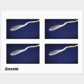 Sticker Rectangulaire Poisson-fusée (Feuille)