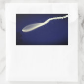 Sticker Rectangulaire Poisson-fusée (Sac)