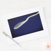 Sticker Rectangulaire Poisson-fusée (Enveloppe)