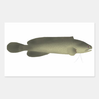 Sticker Rectangulaire Poisson noir de rivière Imprimer, papier d'affiche