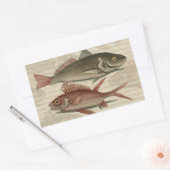 Sticker Rectangulaire Poisson Perche rouge Art pêcheur (Enveloppe)
