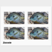 Sticker Rectangulaire Poisson rouge sur quai et corde (Feuille)