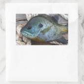 Sticker Rectangulaire Poisson rouge sur quai et corde (Sac)
