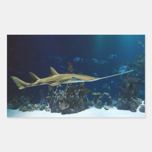 Sticker Rectangulaire Poisson-scie (Devant)
