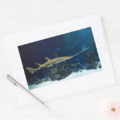 Sticker Rectangulaire Poisson-scie (Enveloppe)