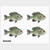 Sticker Rectangulaire Poisson-soleil (Feuille)
