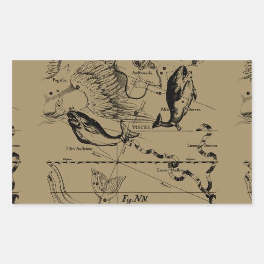 Sticker Rectangulaire Poissons Constellation Hevelius 1690 Décor (Devant)